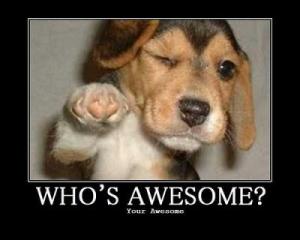 Who's Awesome? You are!
